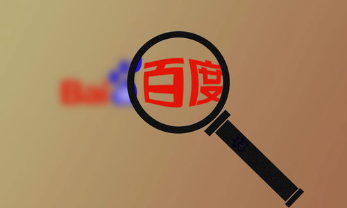 百度SEO外推蜘蛛池